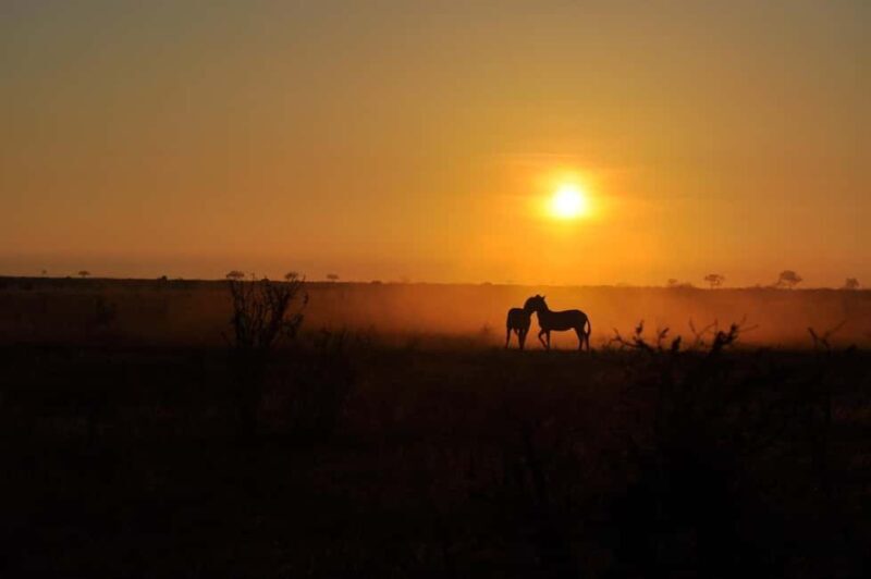 DAY TOUR TO TSAVO EAST NATIONAL PARK FROM MOMBASA/DIANI - The Sum Up: Who Will Get the Most from This Experience?