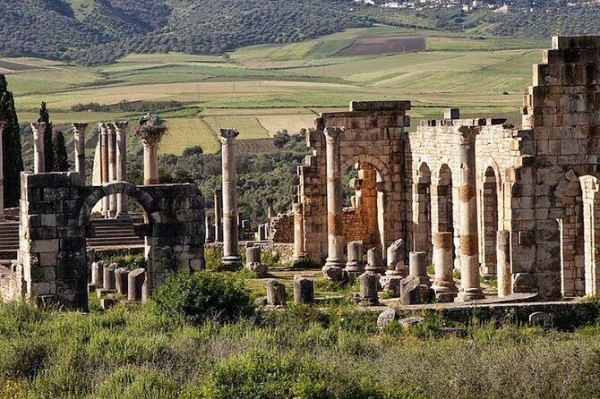 Day Tour to Volubilis & Meknes from Fes - Who Should Consider This Tour?
