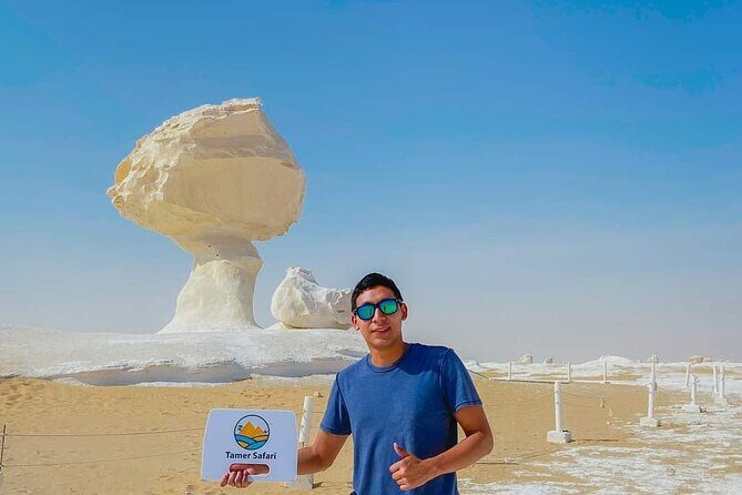 Day tour to White Desert and Bahariya Oasis Tour - An In-Depth Look at the White Desert and Bahariya Oasis Tour