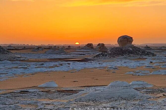 Day tour to White Desert and Bahariya Oasis Tour - The Practical Side: Transportation, Timing, and Value