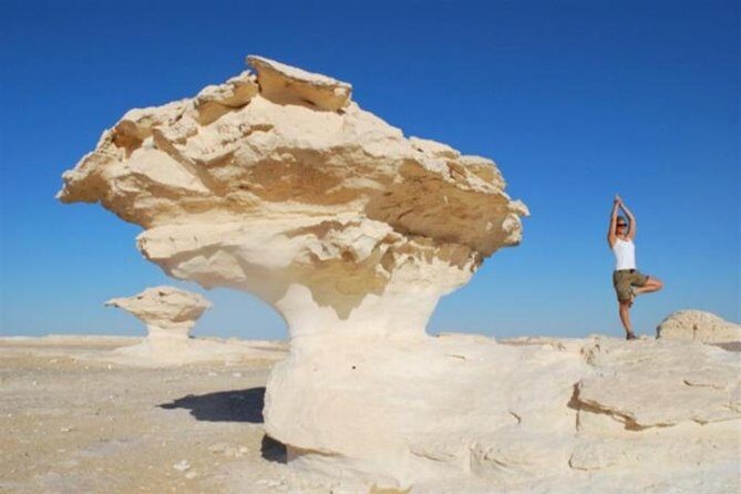 Day tour to White Desert and Bahariya Oasis Tour - Exploring Bahariya Oasis