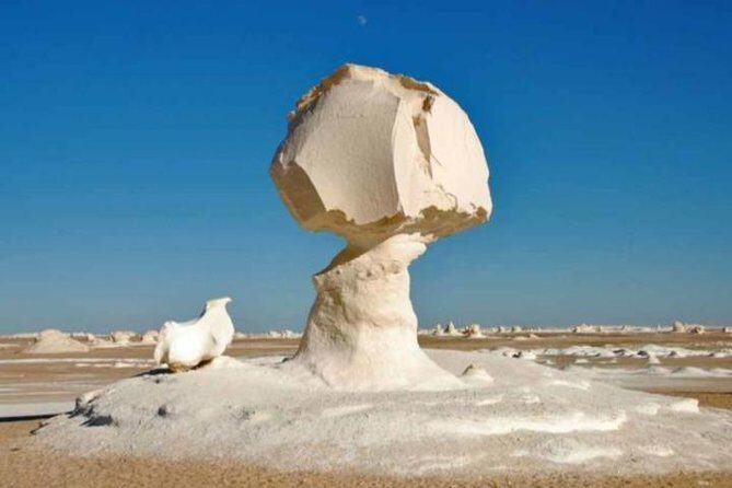 Day tour to White Desert and Bahariya Oasis Tour - Practical Details & Comfort