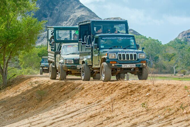 Day Tour to Wilpattu National Park from Colombo - Exploring the Wilpattu National Park from Colombo: A Practical Guide