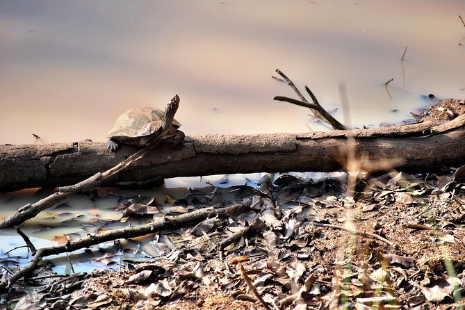 Day Tour to Wilpattu National Park from Colombo - Practicalities and Tips