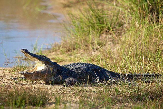 Day Tour to Wilpattu National Park from Colombo - The Sum Up: Is This Tour for You?