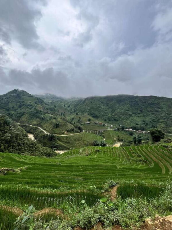 Day Tour with herbal bath with Co:Red Dao Cultural Immersion - Experiencing Authentic Red Dao Culture in Sapa — A Practical Review
