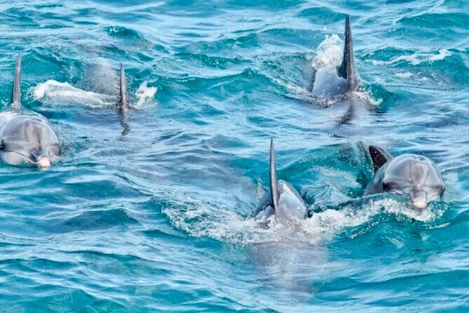 Day Tours Anna Bay and Nelson Bay Port Macquarie North Coast NSW - An Introduction to the Tour: What You Need to Know