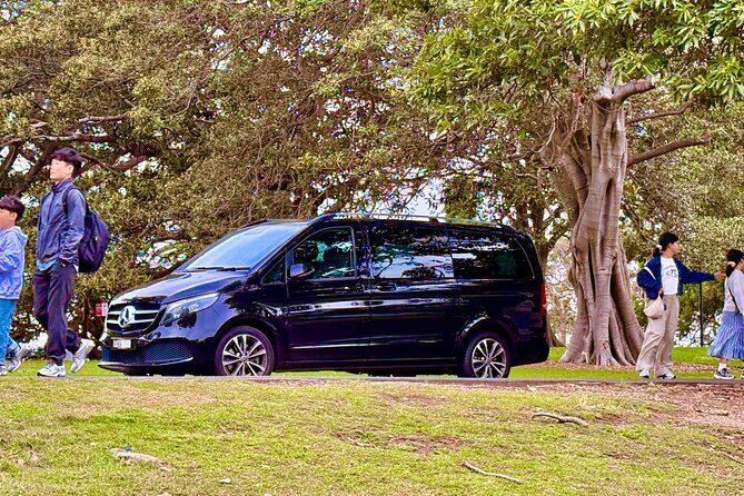 Day Tours Anna Bay and Nelson Bay Port Macquarie North Coast NSW - Returning to Sydney: Luxurious Comfort