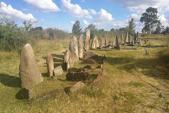 Day Tours to Tiya Stele and Cave Churches of Adadi Maryam - The Sum Up: Who Should Consider This Tour?