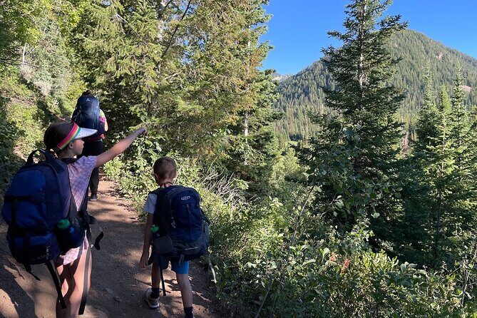 Day Trip Activity at Utah Mountain Backcountry with Box Lunch - The Sum Up: Why Choose This Tour?