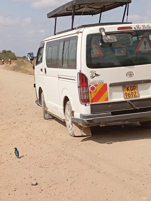 DAY TRIP AMBOSELI NATIONAL PARK FROM NAIROBI BUDGET SAFARI - Practical Tips for Travelers