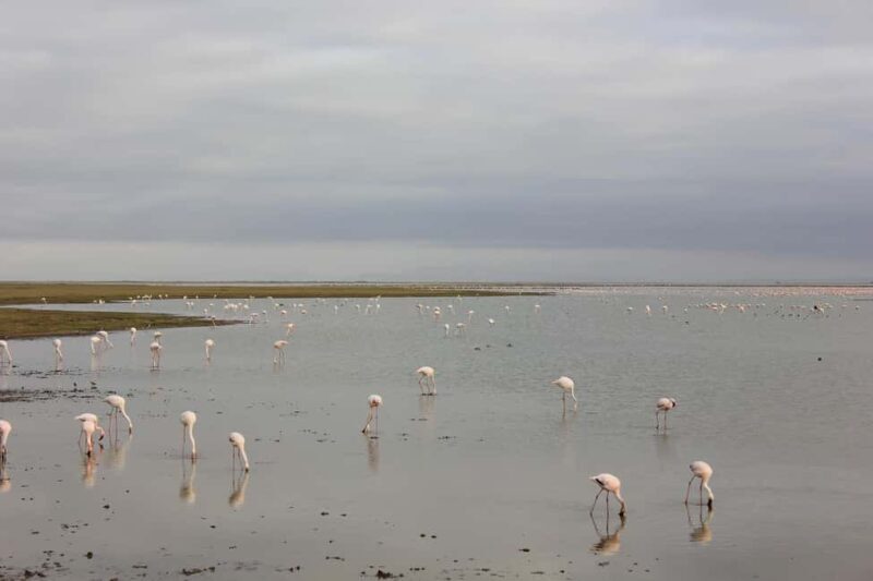 DAY TRIP AMBOSELI NATIONAL PARK FROM NAIROBI BUDGET SAFARI - Who Will Benefit Most?