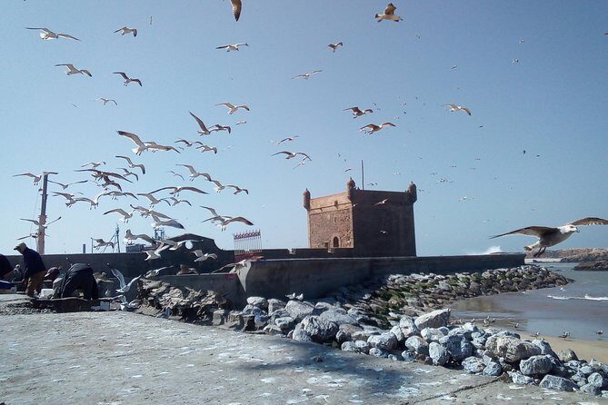 Day Trip and Excursion to Essaouira - Key Points