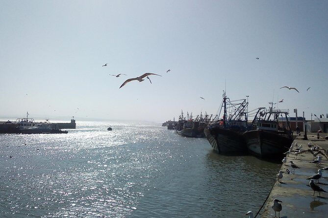 Day Trip and Excursion to Essaouira - Who Should Consider This Tour?
