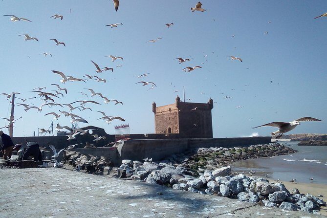 Day Trip and Excursion to Essaouira - The Sum Up