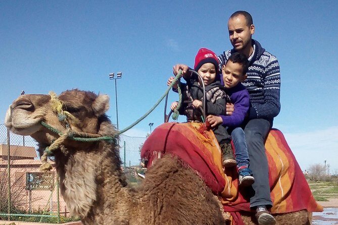 Day Trip and Excursion to Essaouira - Frequently Asked Questions