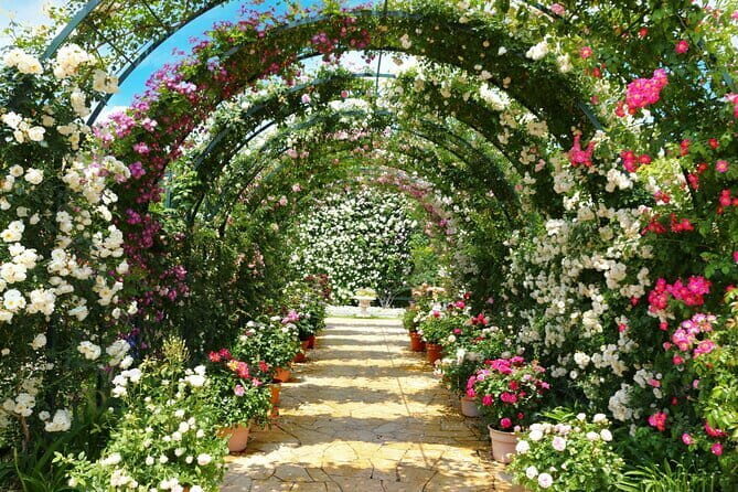 Day Trip Ashikaga Flower Park by Private Car from Tokyo - A Practical Look at a Day Trip from Tokyo to Ashikaga Flower Park and Kurita Museum