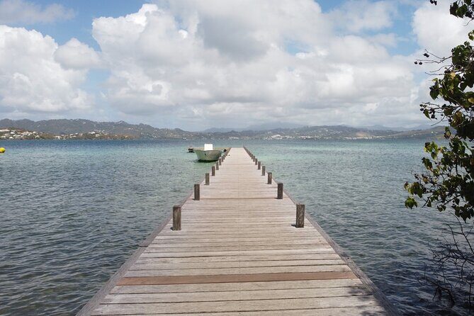 Day trip at sea to the Fonds Blancs Martinique Windward Coast - An Introduction to the Tour