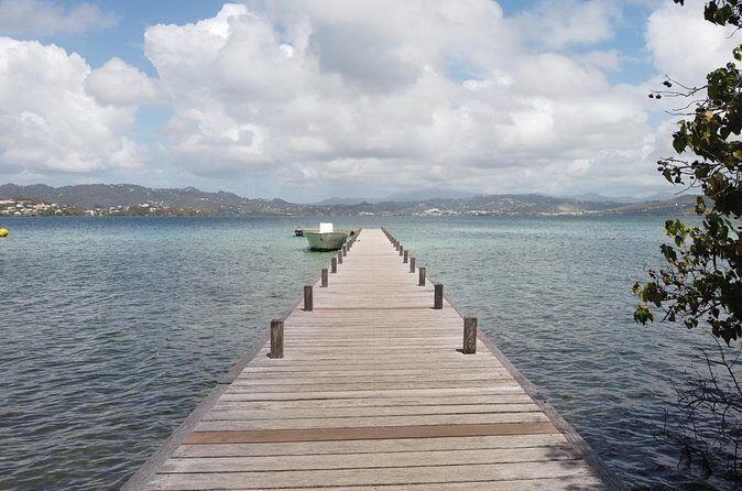 Day trip at sea to the Fonds Blancs Martinique Windward Coast - The Sum Up: Who Should Book This Tour?