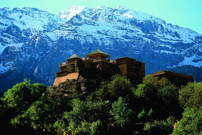 Day Trip Atlas Morocco Berber Experience & Cooking Class From Marrakech - Who Should Consider This Tour?