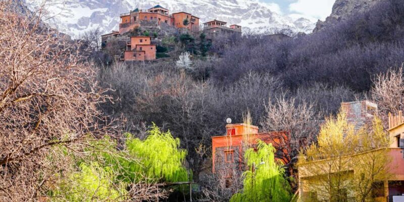 Day Trip Atlas Mountains and Berber Villages with Waterfalls - A Closer Look at the Day Trip Experience