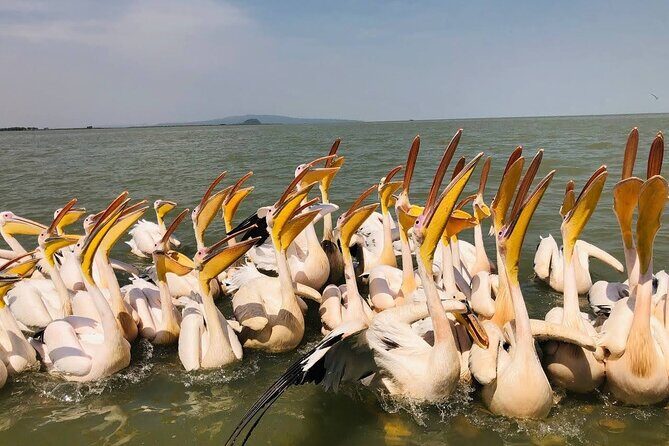 Day Trip Bahir Dar, Lake Tana and Blue Nile Falls Tours - An In-Depth Look at the Tour Experience