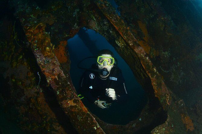 Day Trip certified divers - 3 Dives in Tulamben (pick-up & drop-off included) - What the Reviews Reveal