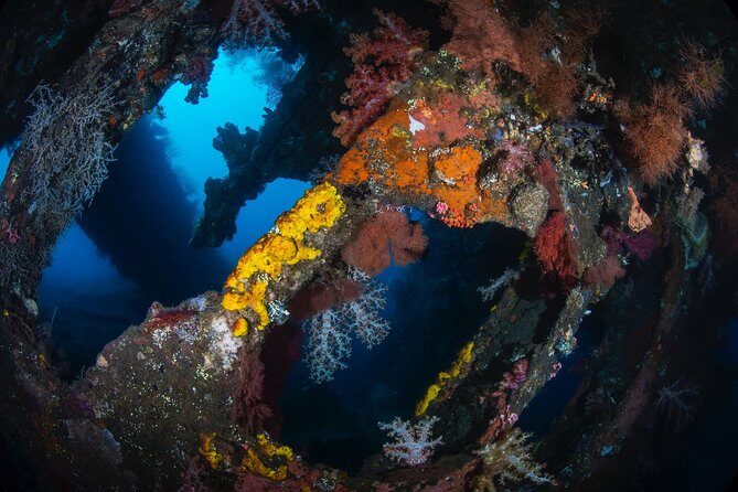 Day Trip certified divers - 3 Dives in Tulamben (pick-up & drop-off included) - The Sum Up