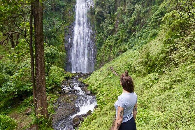 Day Trip Coffee Tour and Materuni Waterfalls - Practicalities and Value
