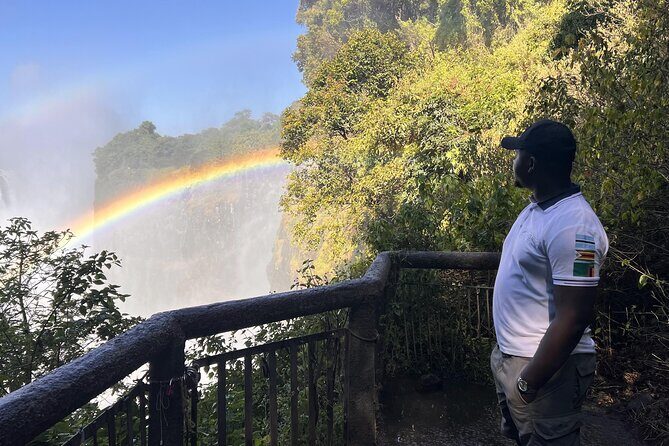 Day Trip: Discover Victoria Falls Zimbabwe From Livingstone, Zambia - Key Points
