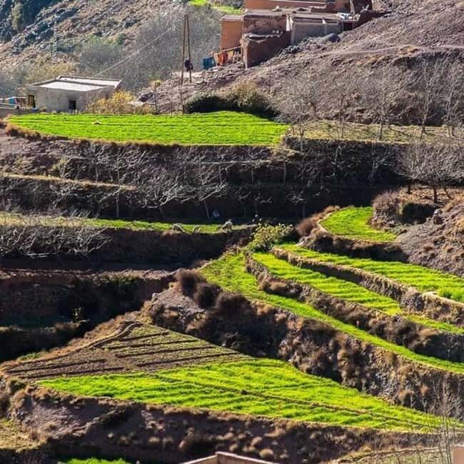 Day trip four valleys & camel ride tour with hiking - The Sum Up: Who Will Love This Tour?