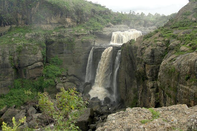Day Trip From Addis Ababa See Historical Monastery,Stunning Nature,Animals,Birds - Final Thoughts