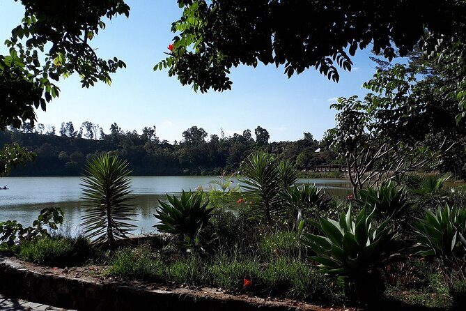 Day Trip from Addis Ababa to Crater Lakes at Bishoftu - Key Points
