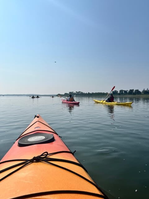 Day Trip from Boston: Guided Kayak at the Crane Estate - An In-Depth Look at the Experience