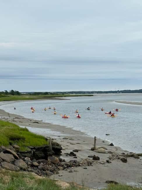 Day Trip from Boston: Guided Kayak at the Crane Estate - The Itinerary in Detail