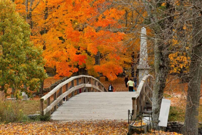 Day Trip from Boston: Historic Walking Tour of Concord, MA - Introduction: A Well-Balanced Historical Escape