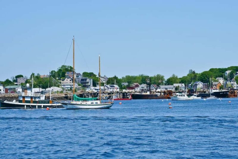 Day Trip From Boston: Kayak Tour through Gloucester Harbor - Key Points