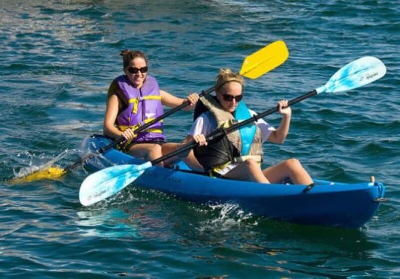 Day Trip From Boston: Kayak Tour through Gloucester Harbor - Why Choose a Kayak Tour of Gloucester Harbor?