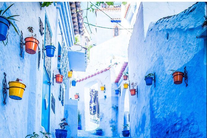 Day Trip from Casablanca to Chefchaouen With Tour Guide included - Who Is This Tour Best Suited For?