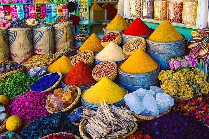 Day trip from Casablanca to Marrakech - Who Would Love This Tour?