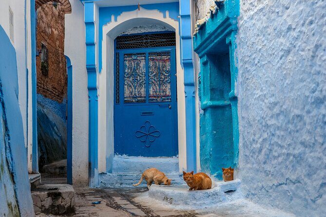 Day Trip From Fes to Chefchaouen - Who Should Book This Tour?
