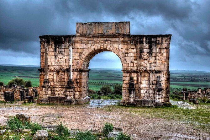 Day Trip from Fes to Meknes, Volubilis, Moulay Idriss - What Travelers Are Saying