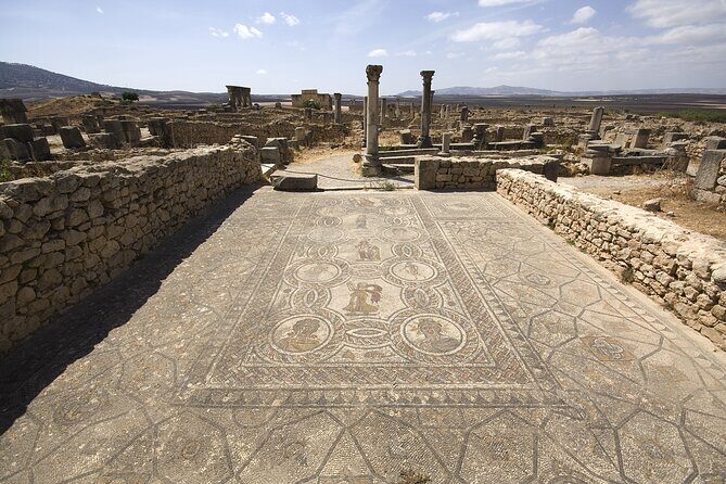 Day Trip from Fes to Meknes, Volubilis, Moulay Idriss - Final Summary