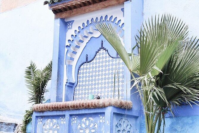 Day trip from Fez to Chefchaouen - Group Tour - What the Reviews Say