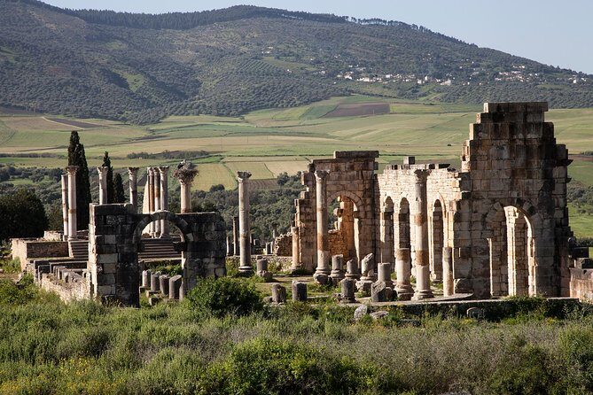 Day Trip from Fez to Meknes and Volubilis - The Value Proposition