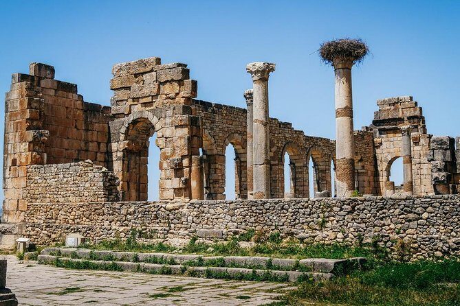 Day Trip from Fez to Meknes and Volubilis - Who Is This Tour Best For?