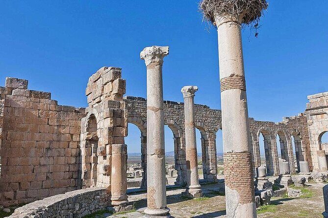 Day trip from Fez to Volubilis and Meknes - The Medieval Charm of Meknes