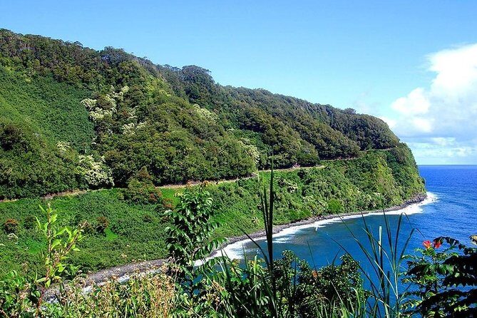Day Trip from Oahu to Maui: Road to Hana Adventure - What Travelers Say