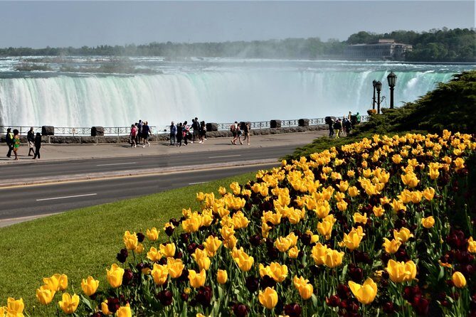 Day-Trip from Toronto to Niagara Falls with skip-the-line boat - Key Points