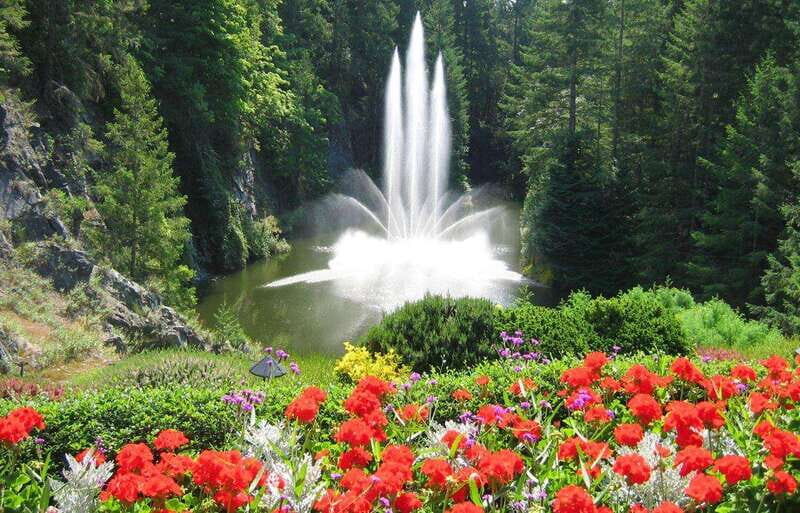 Day Trip from Vancouver to Victoria and Butchart Gardens - The Value of the Tour